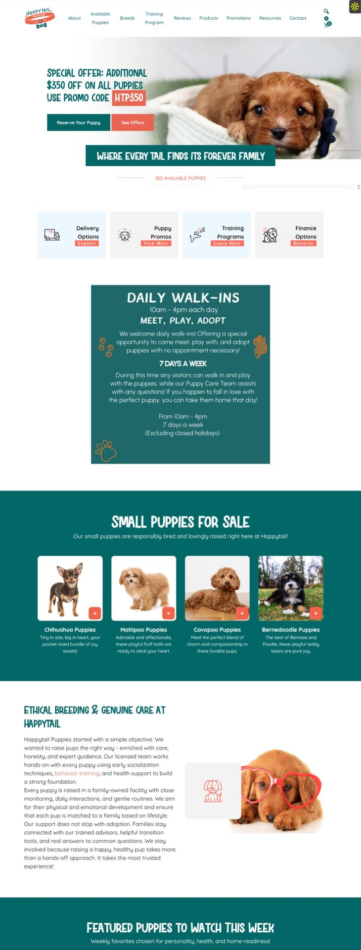 Happy Tail Puppies social media growth results by Inventive Media